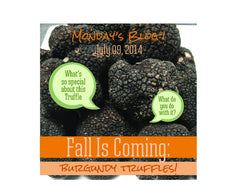 Fall is Coming: Burgundy Truffles