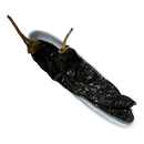 Ancho Chili, Whole