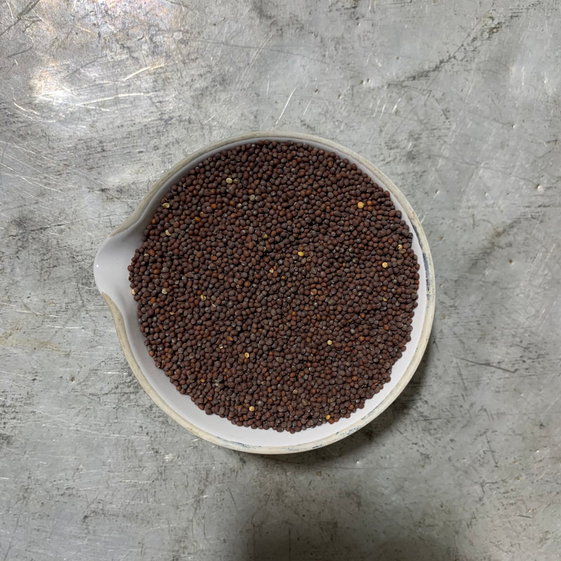 black mustard seeds for planting Mustard Seeds, Brown