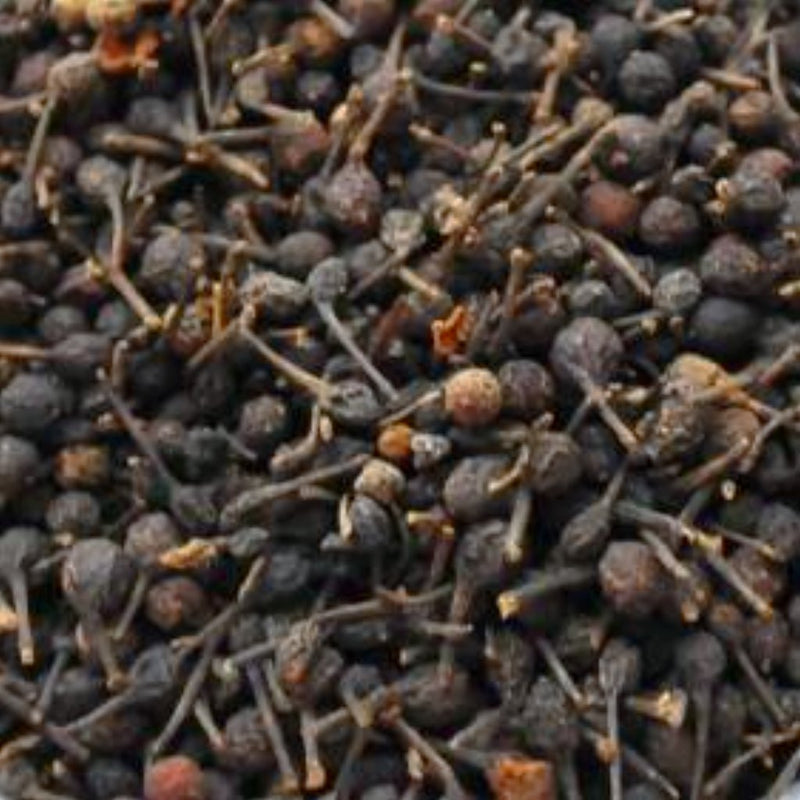 cinnamon plant seeds Cinnamon Tree Berries