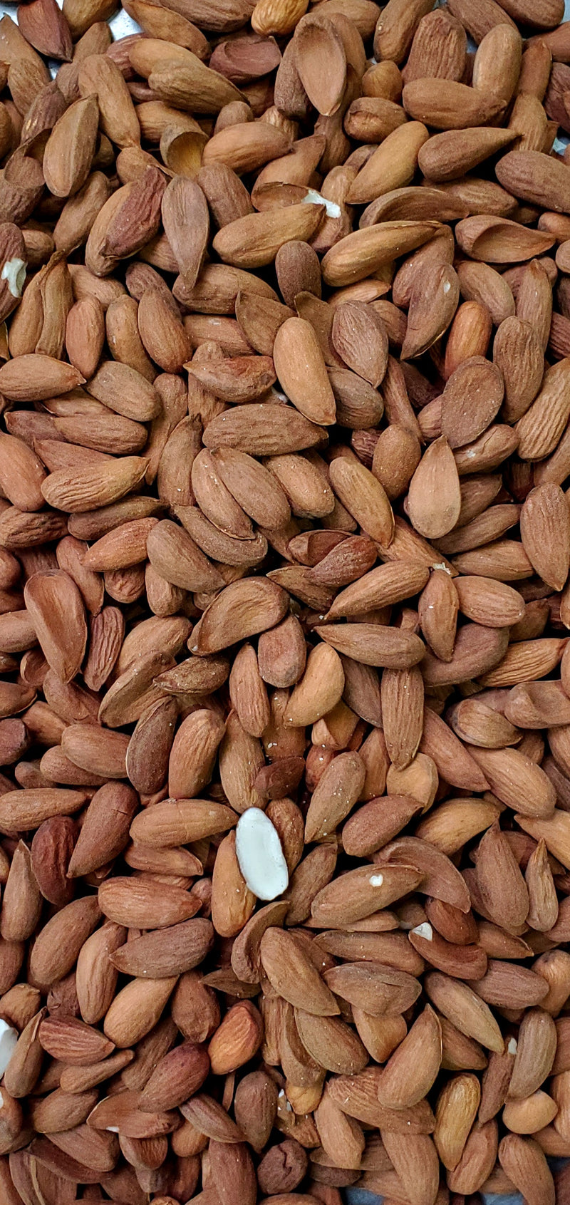 Almonds Heirloom from Kandahar 1lb